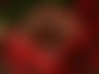 The Perfect Christmas Gift Guide for Biohackers Featuring Must-Have Peptides