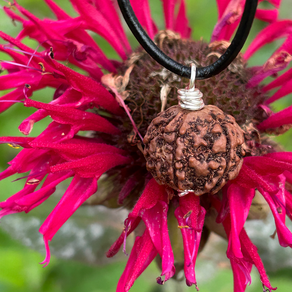 Thumbnail: Canadian handcrafted Mukhi Rudraksha pendant by Wicked STones for inner peace and calm energy