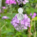 Powerful lunar cycle pendant with pentacle, selenite, quartz and onyx. Handmade Pagan jewelry necklaces in Canada