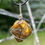 Thumbnail: Baltic Amber and Sterling Silver pendant wire wrap jewelry for confidence and empowerment in Canada