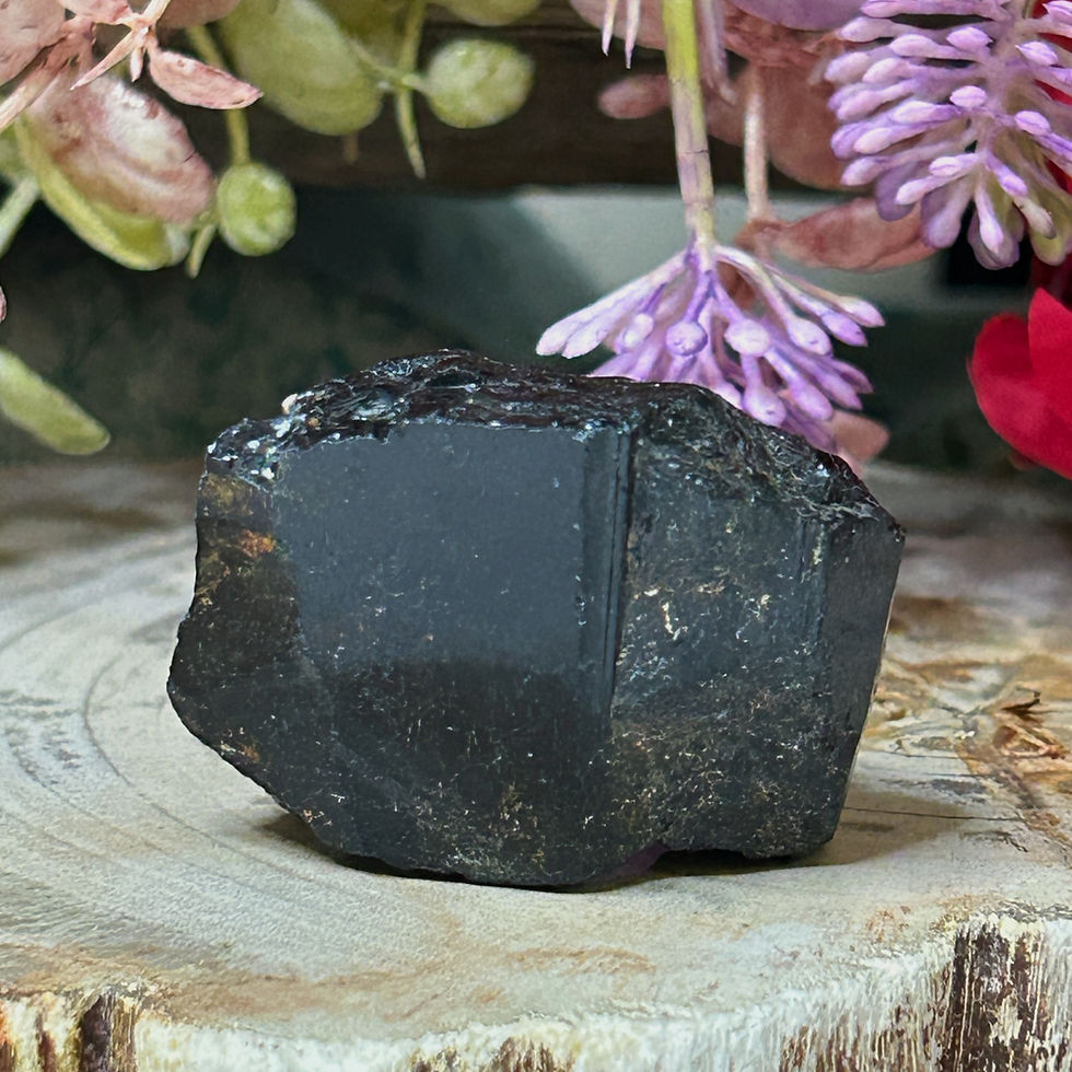Standing Black Tourmaline crystal with a broad flat face and unpolished edges from Wicked Stones