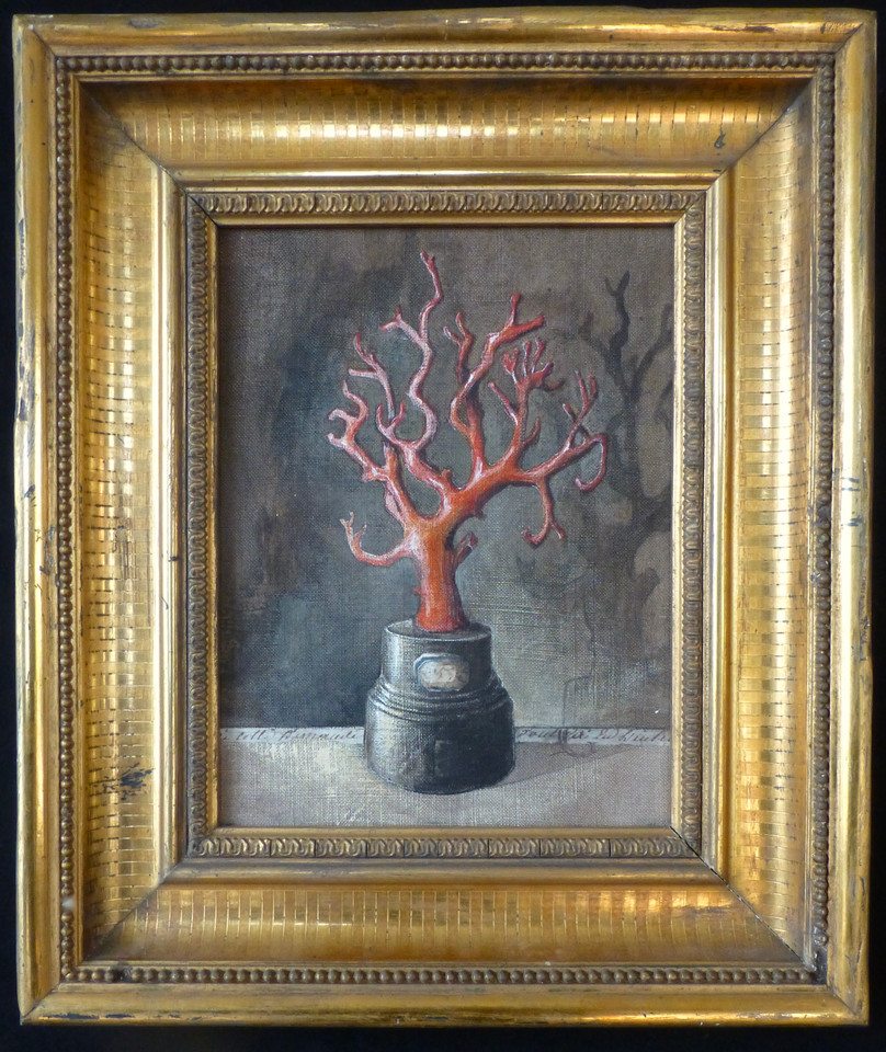 28. Corail 28,5x 33,5 cm