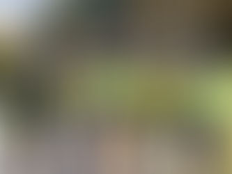 Staff Spotlight: Mike Townsley, Resident Manager – Provin Mountain December 2025