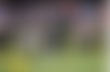 NFL Makes Changes to Pro Bowl