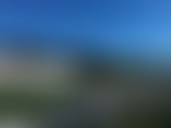 Past and Current Sharks Honored at Homecoming 2022