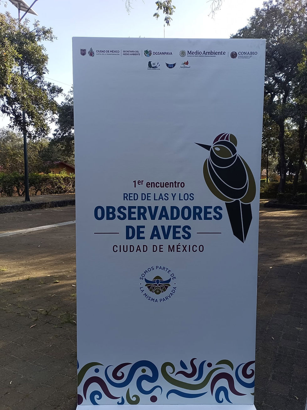 SEDEMA presenta nueva plataforma para observadoras y observadores de aves