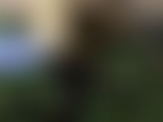 Liga alemana de fútbol incrementará uso de tecnología para en próximo torneo