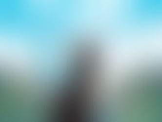 Películas animadas para ver en Filmelier+