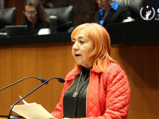 Buscará Piedra Ibarra continuar al frente de la CNDH