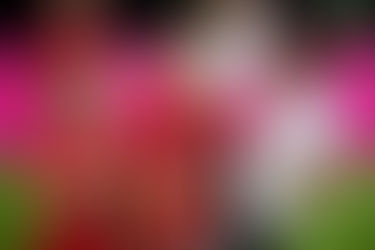 Advierten mayor riesgo de Alzheimer en futbolistas