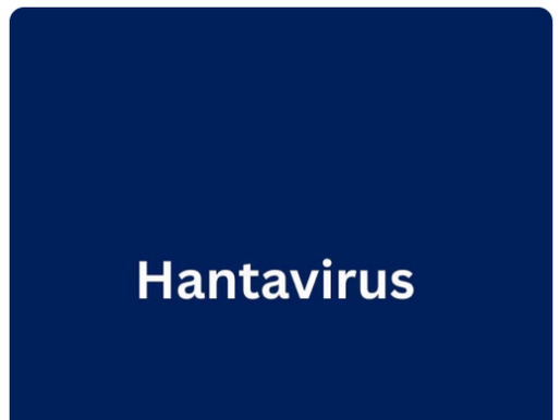 Hasta el momento se registran 13 casos de Hantavirus: OMS