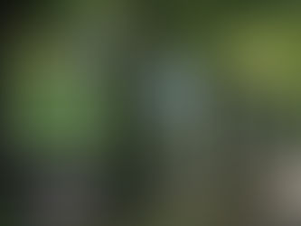 Galerías abiertas del Bosque de Chapultepec se convierten en un Gran Álbum de la Ciudad con dos nuevas exposiciones fotográficas