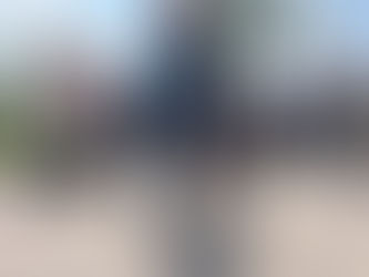 En el marco del Día del Perro, ven al festival “Un día con mi mejor amigo”