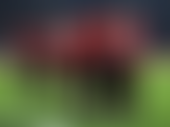 Va Milan por la Copa Italia