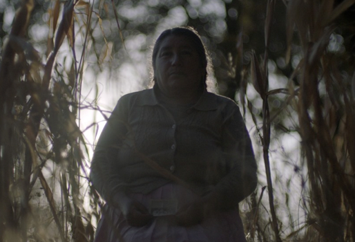 Tzofo, largometraje documental sobre los pueblos originarios de México