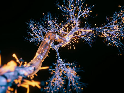 Avances en la investigación del glioblastoma
