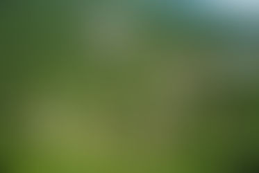 Se reduce el nivel de agua de los ríos más grandes del mundo, en casi la mitad