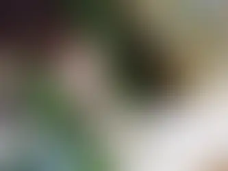 Consumo de alcohol en la juventud podría impulsar una carrera profesional: estudio