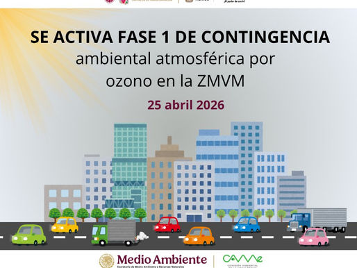 Contingencia ambiental en la ZMVM: para el domingo autos emgomado amarillo