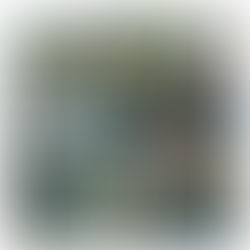 El MODO exhibe vitrinas hechas por sus visitantes