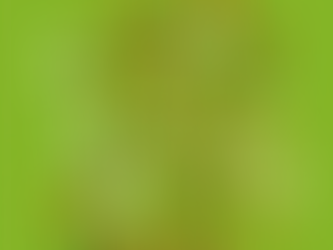 ¡Ambulante regresa a Morelos! Pasará por Cuernavaca, Tepoztlán, Yautepec, Cuautla y Temoac