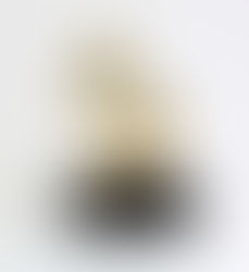 Se lleva Juan Luis Guerra la noche en el Grammy Latino