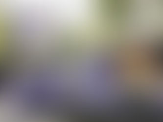 “Estudios Churubusco y sus trabajadores”, exposición que honra 80 años del cine mexicano