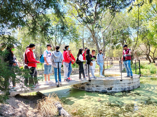 Invita SEDEMA al Curzoo de verano 2025 “Aventuras Silvestres” en Chapultepec