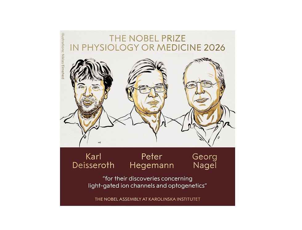 Premio Nobel de 2026 en Fisiología o Medicina okok