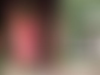 Empaque de muñecas Mattel contiene un link a sitio porno, por error