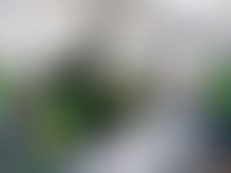 Registra el IMSS más de 23.5 millones de afiliaciones laborales