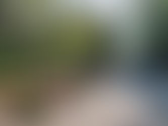 SEDEMA Invita al recorrido “La ruta del chapulín” en Chapultepec