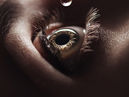 Gotas para los ojos: cuáles son las mejores y más seguras