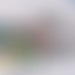 Arrancan los Olímpicos de Invierno en Italia