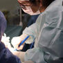 Realizan en Japón la primera intervención quirúrgica con láminas de células iPS