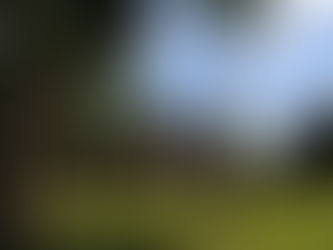 Reabre la Zona Arqueológica de Dzibanché, ubicada al sur de Quintana Roo