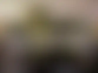 Será hasta enero cuando Gobierno y guerrilla de Colombia definan continuidad del cese al fuego