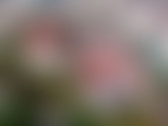 Hospital General de México implementa protocolo para reducir mortalidad por infecciones cervicales graves