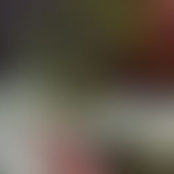 Actividad Económica del país a la baja en enero pasado