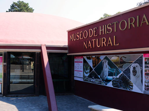 Niñas, niños, jóvenes y familias capitalinas a disfrutar de la programación semanal del Museo de Historia Natural y Cultura Ambiental
