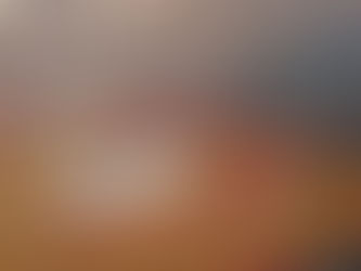 Nueva legislación hace inviable celebrar eventos taurinos