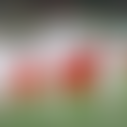 Continua preparación de la selección de Irán para el Mundial 2026