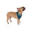 Thumbnail: Blue Buccaneers Bandana