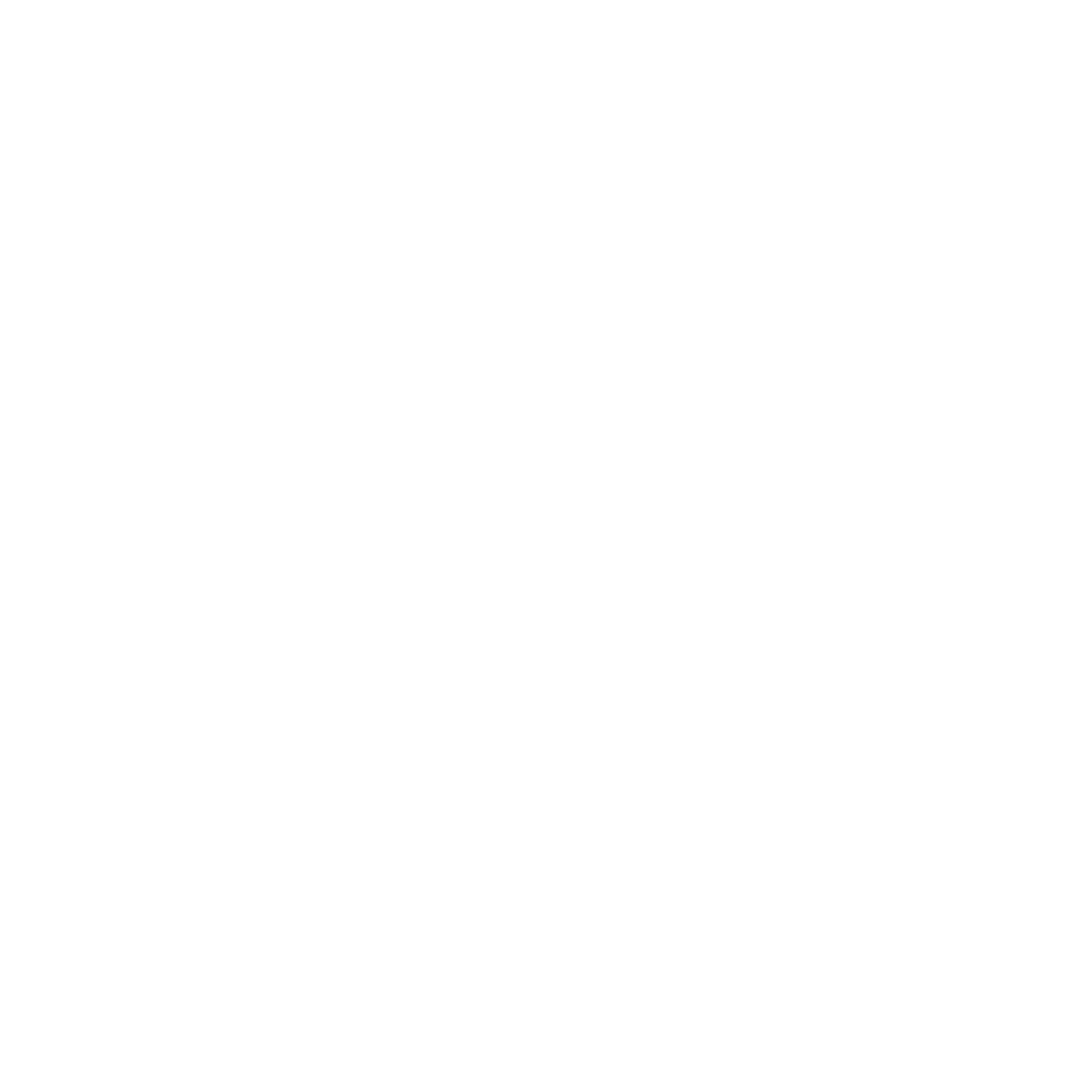 everest-largo-white-no-background-logo.png