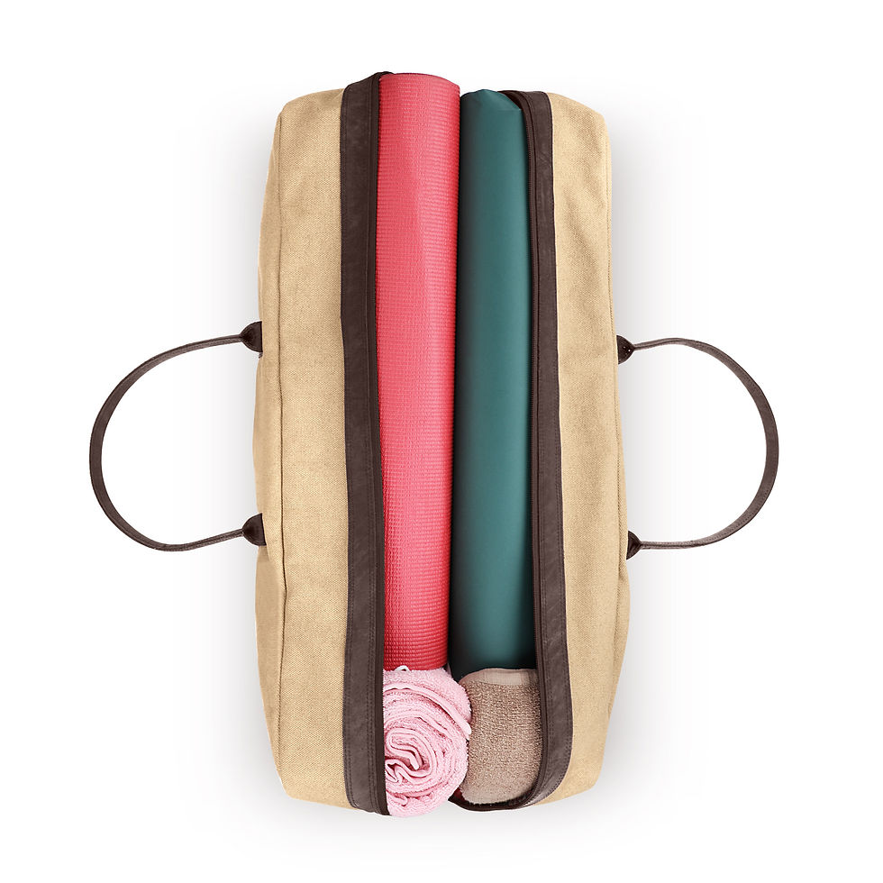 Thumbnail: Gear/Travel Bag