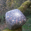 20211024_151326.jpg