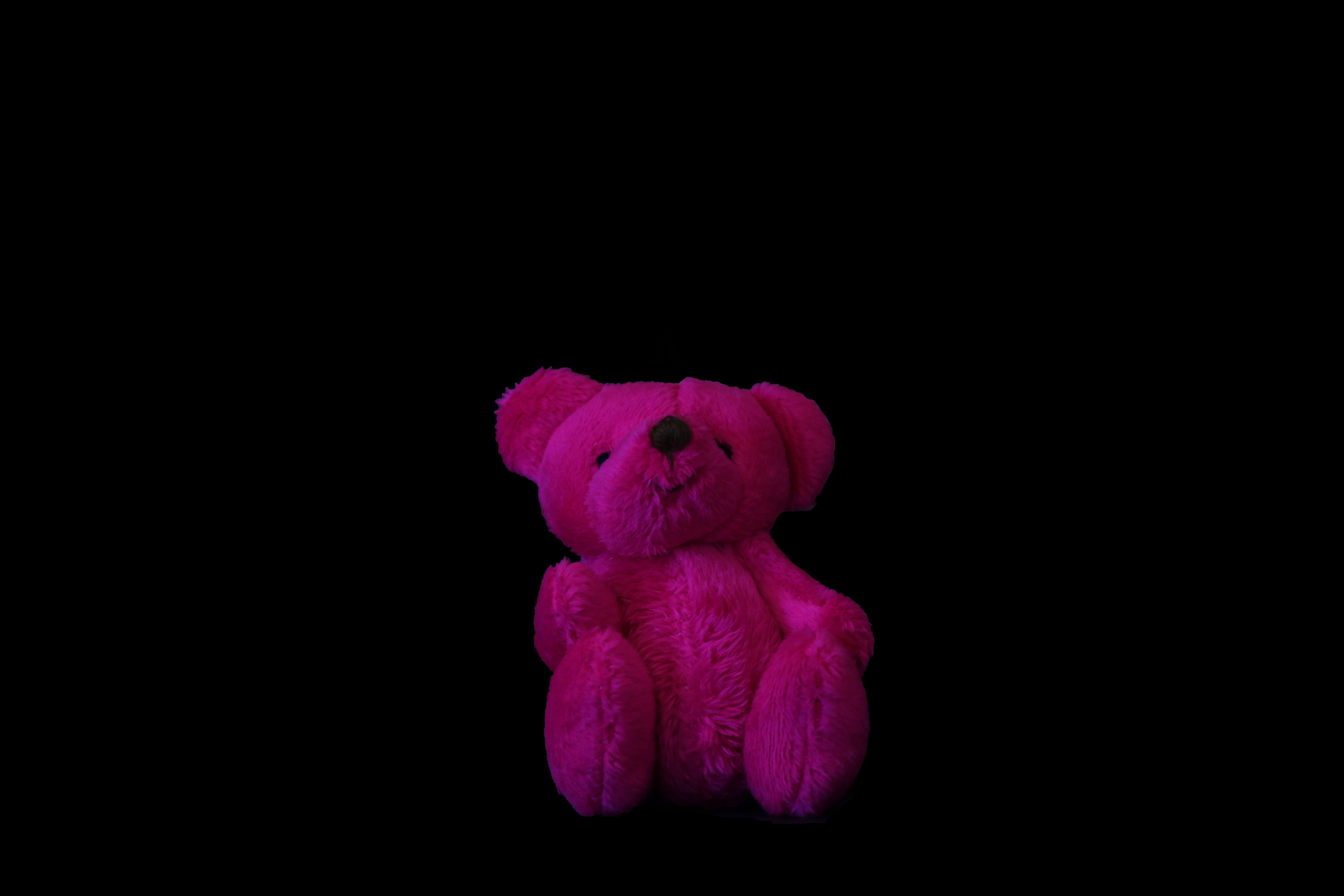 Pink Bear