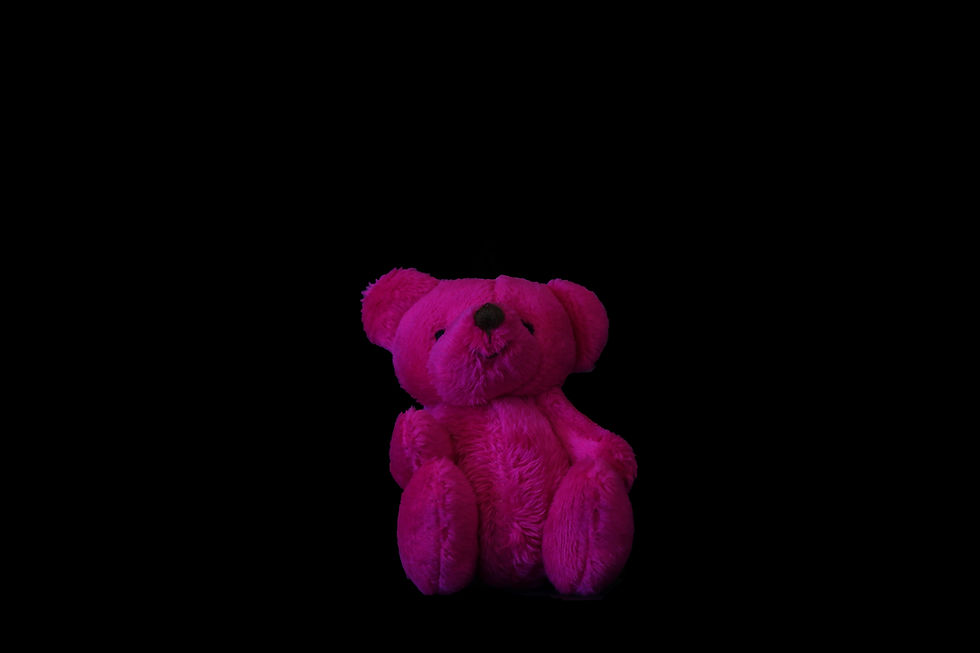 Pink Bear
