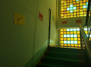 IMG-20190201-WA0012.jpg