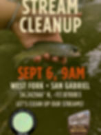 West Fork Cleanup